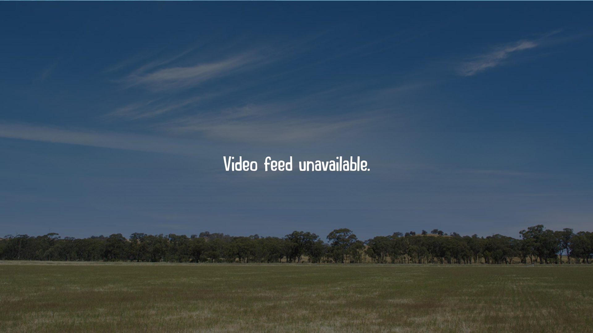 Chook Tracker Holding Statement_130826